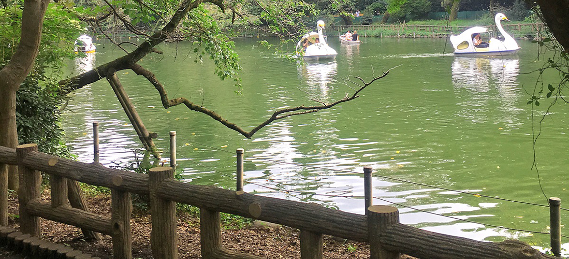 井の頭恩賜公園